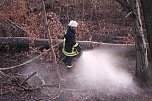 Flächenbrand bei Großlohra (Foto: S. Dietzel) Flächenbrand bei Großlohra (Foto: S. Dietzel)
