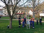 Die Jugendfeuerwehr Neustadt-Osterode schm&uuml;ckt den Kurpark (Foto: Christoph Burkert)