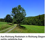 Bilder aus Rodishain (Foto: Ortsteilrat)
