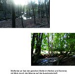 Bilder aus Rodishain (Foto: Ortsteilrat)