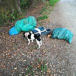 Entsorgter M&uuml;ll im Gumpeweg (Foto: Andreas K.)