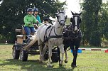 Südharz Rallye für Pferdegespanne (Foto: C. Wilhelm) Südharz Rallye für Pferdegespanne (Foto: C. Wilhelm)
