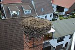 Storchennest in Windehausen wurde "saniert" (Foto: privat)