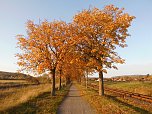 Herbst (Foto: Bernd Thielbeer)