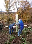 Pflanzaktion Appenrode (Foto:  Uwe Kleemann)