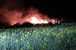 Feuer (Foto: S.Dietzel)
