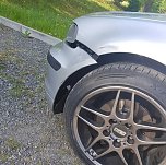 Rehe gegen Pkw (Foto: Silvio Dietzel) Rehe gegen Pkw (Foto: Silvio Dietzel)