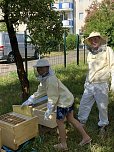 Bienen-Team (Foto: der Heinz-Sielmann-Grundschule Niedersachswerfen)