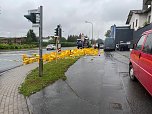 Fl&uuml;ssigkeitsverlust von Wipperdorf (Foto: S.Dietzel)