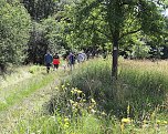 Erste Wanderung auf dem Urwaldpfad bei R&uuml;digsdorf (Foto: S.Staubitz)
