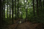 Unterwegs auf dem "Urwaldpfad" (Foto: agl)