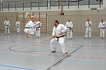 In der vergangenen Woche fand in der Nordh&auml;user Wiedigsburghalle zum 10. Mal das Europa-Gasshuku statt (Foto: Karate Do Kwai)