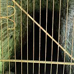 Vom Mägdesprung zum Waldgagsthof (Foto: Peter Blei) Vom Mägdesprung zum Waldgagsthof (Foto: Peter Blei)