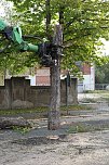 An der Bleiche hat man damit begonnen 13 B&auml;ume zu f&auml;llen (Foto: Michael Garke)