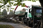 An der Bleiche hat man damit begonnen 13 B&auml;ume zu f&auml;llen (Foto: Michael Garke)