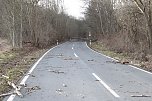 Sturmsch&auml;den auf der Landstra&szlig;e (Foto: S. Dietzel)