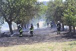 Fl&auml;chenbrand zwischen Gro&szlig;- und Kleinfurra (Foto: S.Dietzel)