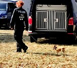 Tag der offenen T&uuml;r bei der Landespolizeiinspektion in Nordhausen (Foto: Peter Blei)