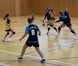 Handball-Hexen zu Gast in Artern (Foto: Jens Friedrichs) Handball-Hexen zu Gast in Artern (Foto: Jens Friedrichs)