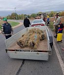 Kirmes in Kleinwerther (Foto: Kirmesburschen Kleinwerther)