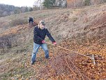 Arbeitseinsatz der BUND-Mitglieder (Foto: B.Schwarzberg)