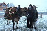 Wenn der Weihnachtsochse durch die Dörfer zieht (Foto: S. Dietzel) Wenn der Weihnachtsochse durch die Dörfer zieht (Foto: S. Dietzel)