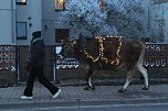 Wenn der Weihnachtsochse durch die Dörfer zieht (Foto: S. Dietzel) Wenn der Weihnachtsochse durch die Dörfer zieht (Foto: S. Dietzel)