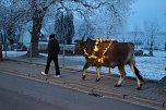 Wenn der Weihnachtsochse durch die Dörfer zieht (Foto: S. Dietzel) Wenn der Weihnachtsochse durch die Dörfer zieht (Foto: S. Dietzel)