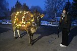 Wenn der Weihnachtsochse durch die Dörfer zieht (Foto: S. Dietzel) Wenn der Weihnachtsochse durch die Dörfer zieht (Foto: S. Dietzel)