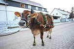 Wenn der Weihnachtsochse durch die Dörfer zieht (Foto: S. Dietzel) Wenn der Weihnachtsochse durch die Dörfer zieht (Foto: S. Dietzel)