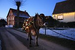 Wenn der Weihnachtsochse durch die Dörfer zieht (Foto: S. Dietzel) Wenn der Weihnachtsochse durch die Dörfer zieht (Foto: S. Dietzel)