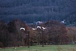 Spaziergang am Stausee Kelbra mit interessanten An- und Aussichten (Foto: P.Blei)
