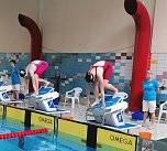 Nordh&auml;user Schwimmnachwuchs beim "Shark Day" in Halle (Foto: SVN 90)