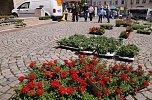 Geranienmarkt auf dem Rathausplatz (Foto: Cornelia Wilhelm) Geranienmarkt auf dem Rathausplatz (Foto: Cornelia Wilhelm)