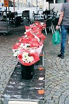 Geranienmarkt am Rathaus (Foto: Peter Blei) Geranienmarkt am Rathaus (Foto: Peter Blei)