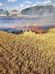 Feldbrand bei Klettenberg (Foto: Feuerwehr Liebenrode/Silvio Dietzel)