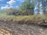 Feuer in der Goldenen Aue (Foto: Die am Einsatz beteiligten Feuerwehren)