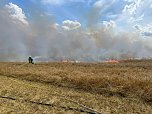 Feuer in der Goldenen Aue (Foto: Die am Einsatz beteiligten Feuerwehren)