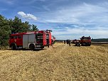 Feuer in der Goldenen Aue (Foto: Die am Einsatz beteiligten Feuerwehren)