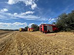 Feuer in der Goldenen Aue (Foto: Die am Einsatz beteiligten Feuerwehren)