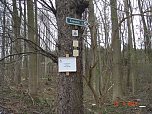 Spuren im Wald (Foto: Familie M.)