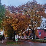 Herbst am Kiesschacht (Foto: Peter Blei)