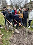 Baumpflanzung 2.0 an der Petersbergschule (Foto: K. Bauditz) Baumpflanzung 2.0 an der Petersbergschule (Foto: K. Bauditz)
