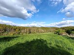 Sturmschäden,viel Wasser und sehr gute Fernsicht am ehemaligen Wald bei Urbach (Foto: Peter Blei) Sturmschäden,viel Wasser und sehr gute Fernsicht am ehemaligen Wald bei Urbach (Foto: Peter Blei)