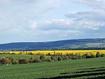 Sturmschäden,viel Wasser und sehr gute Fernsicht am ehemaligen Wald bei Urbach (Foto: Peter Blei) Sturmschäden,viel Wasser und sehr gute Fernsicht am ehemaligen Wald bei Urbach (Foto: Peter Blei)