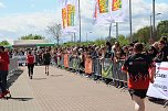 Zieleinlauf zum 10. Harztorlauf (Foto: agl)