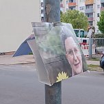 Zerst&ouml;rte Plakate im Kommunalwahlkampf (Foto: SPD/LINKE/GR&Uuml;NE)