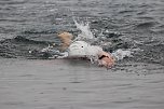 Olympischer Triathlon in Sundhausen (Foto: Eva Maria Wiegand)