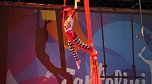 30 Jahre Zirkus Zappelini (Foto: agl)