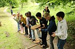 Waldjugendspiele 2025 im Park Hohenrode (Foto: agl) Waldjugendspiele 2025 im Park Hohenrode (Foto: agl)